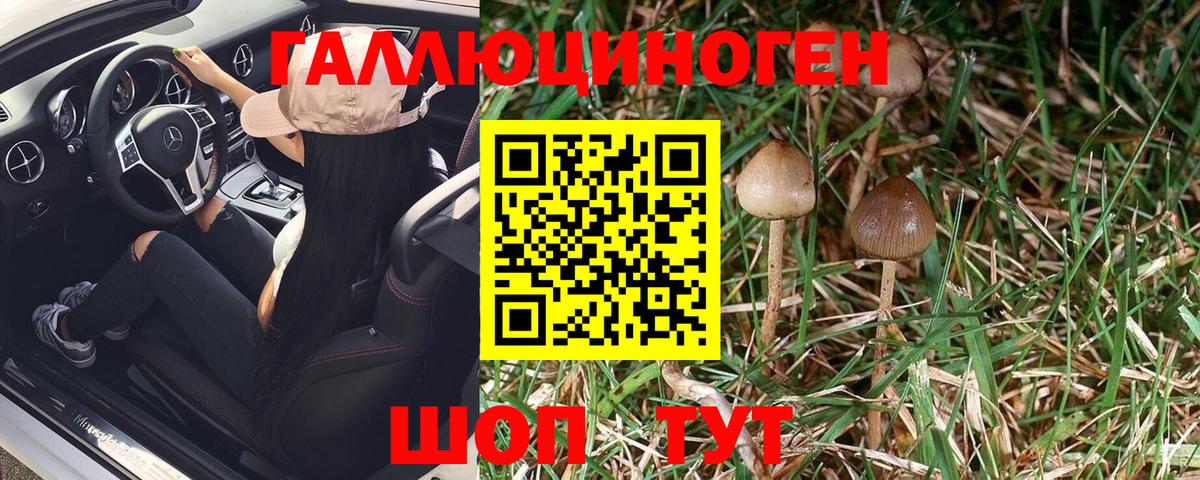Псилоцибиновые грибы Magic Shrooms Гусиноозёрск